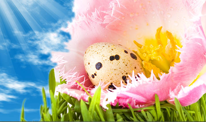 Easter Funday