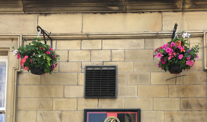 Hanging Baskets
