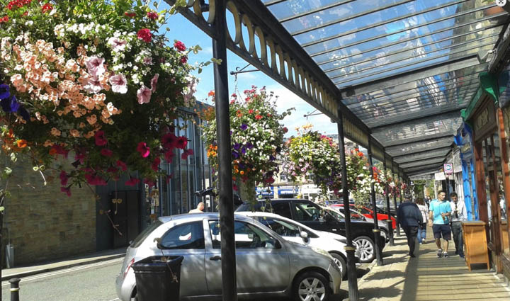 Hanging Baskets