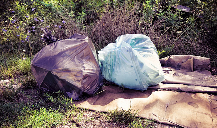 Litter Pick