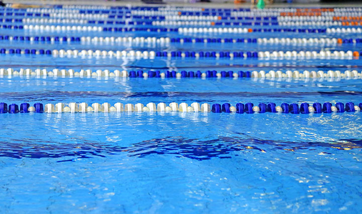Free Swimming